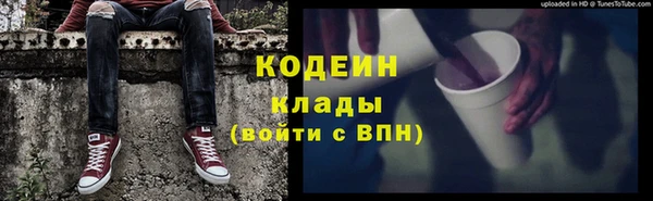 трава Наволоки