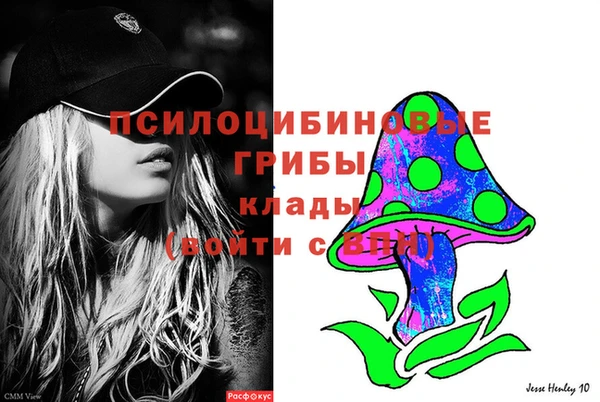 трава Навашино