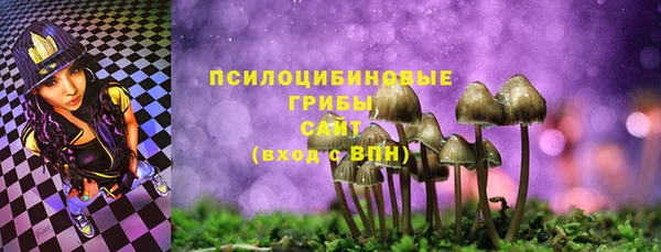трава Наволоки