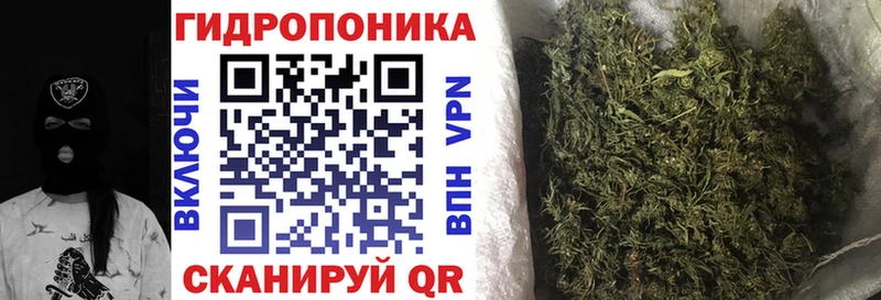 Бошки марихуана ГИДРОПОН  купить наркоту  Суровикино 